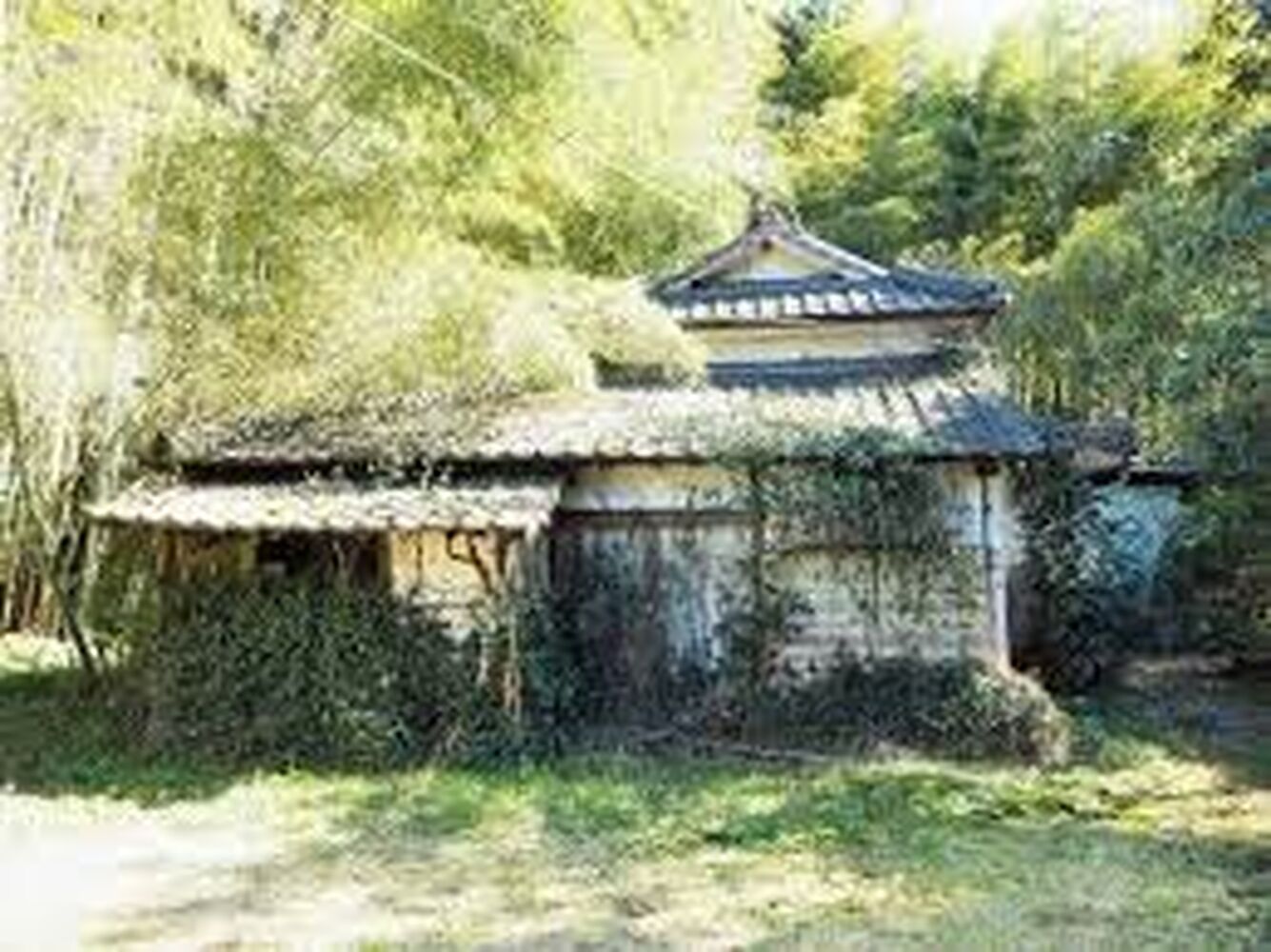 BLOG